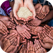 NGO workers collaborating